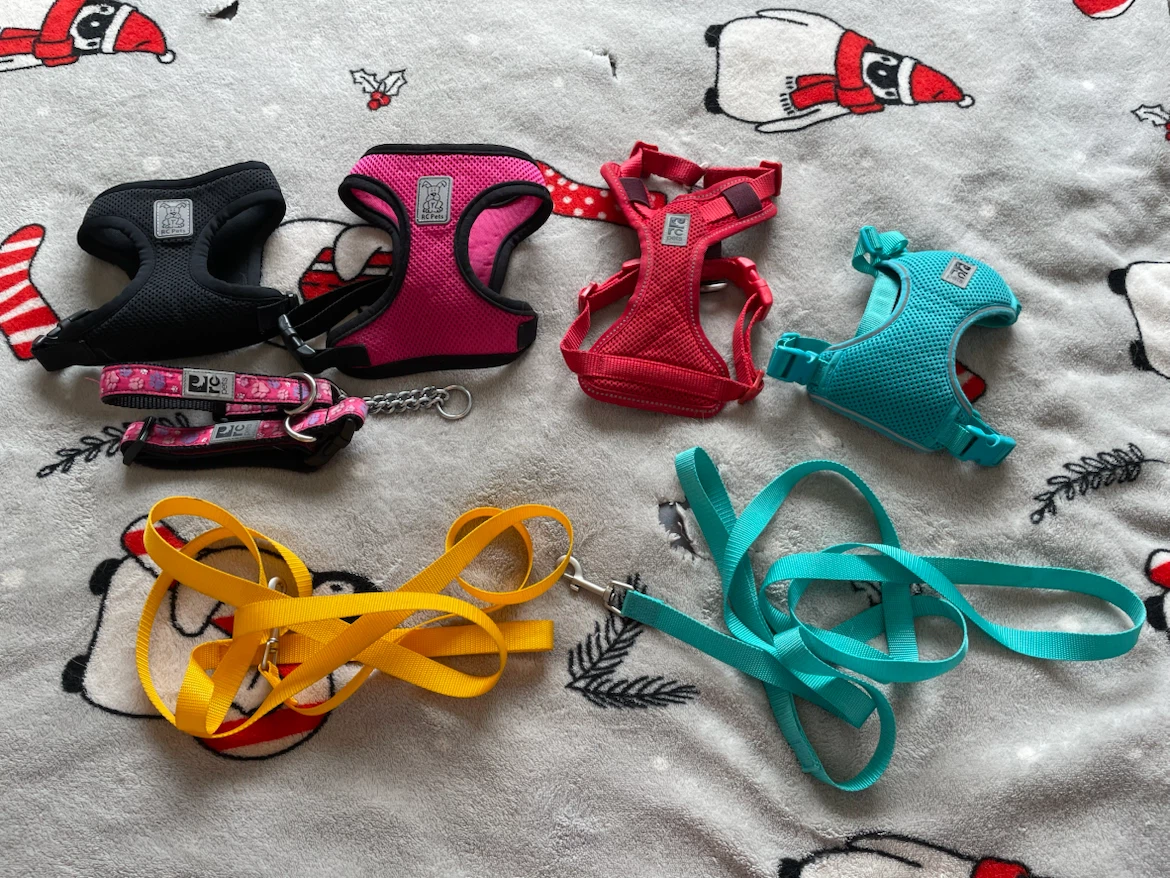 RC Pets Small Dog/Cat Harnesses, Leashes & Collars