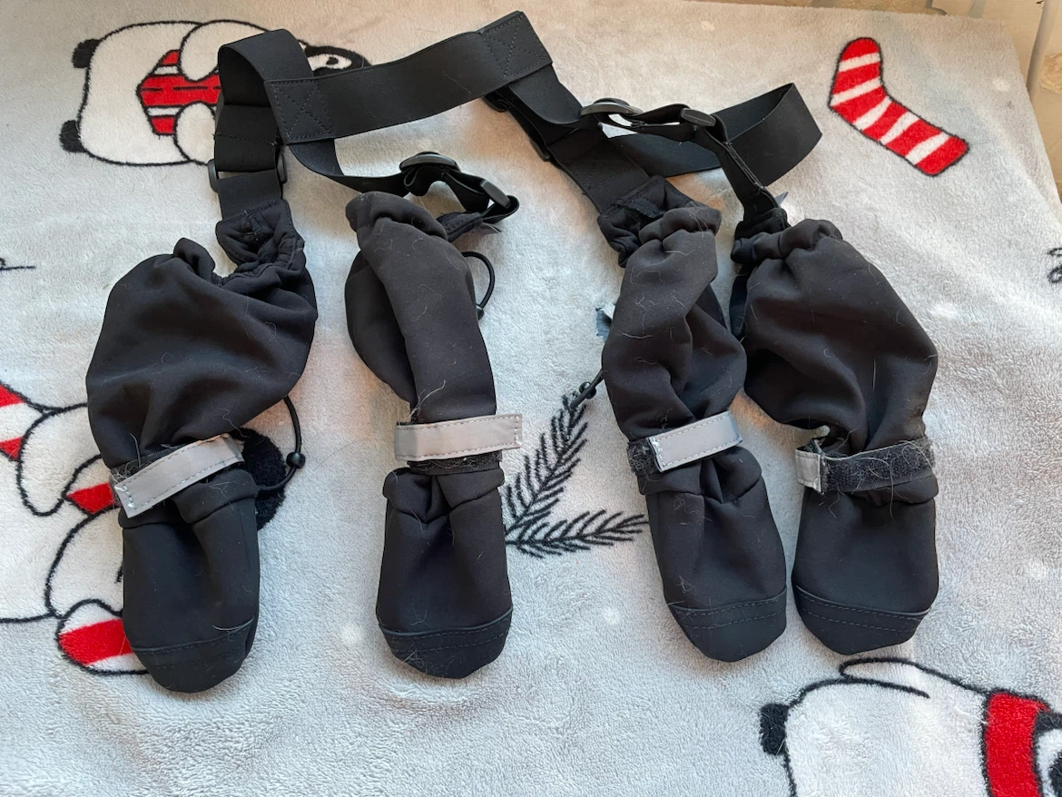 Size 3 Short Canada Pooch Suspender Dog Boots