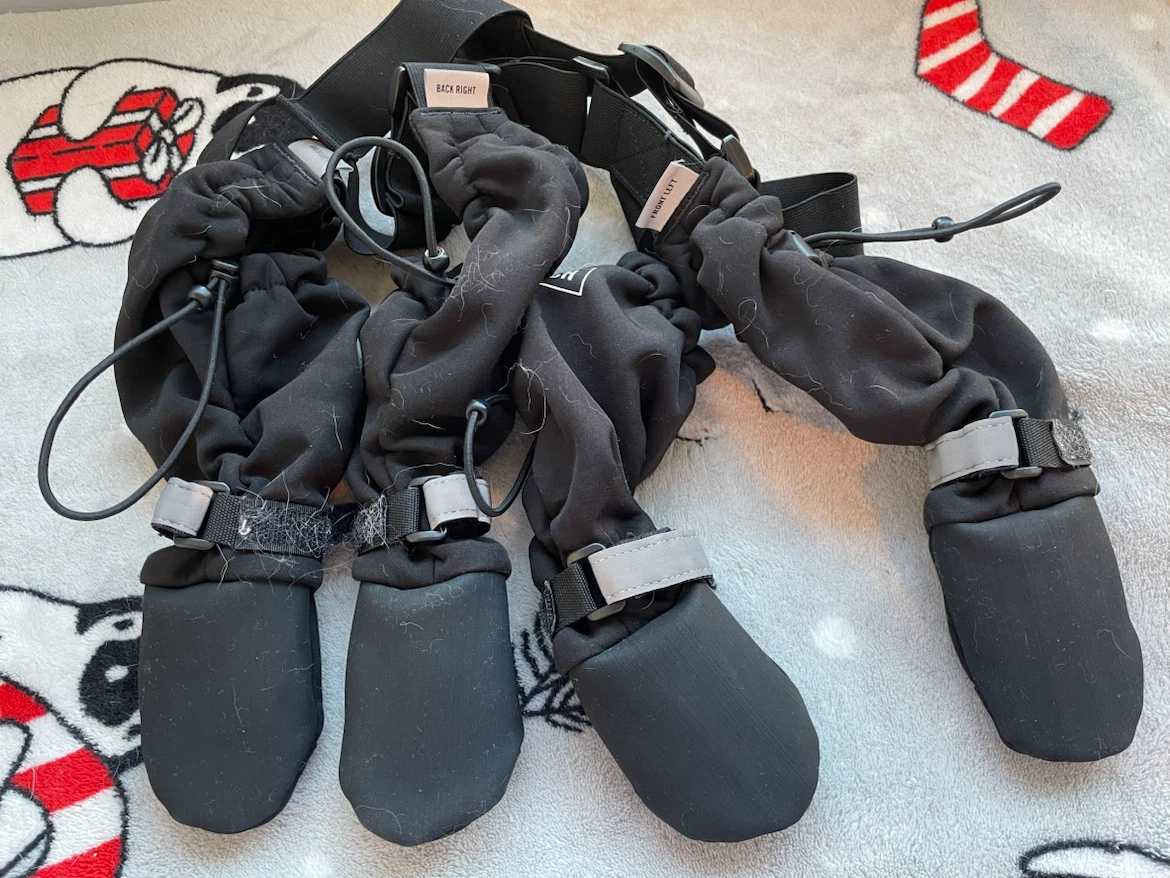 Size 3 Short Canada Pooch Suspender Dog Boots - photo 2