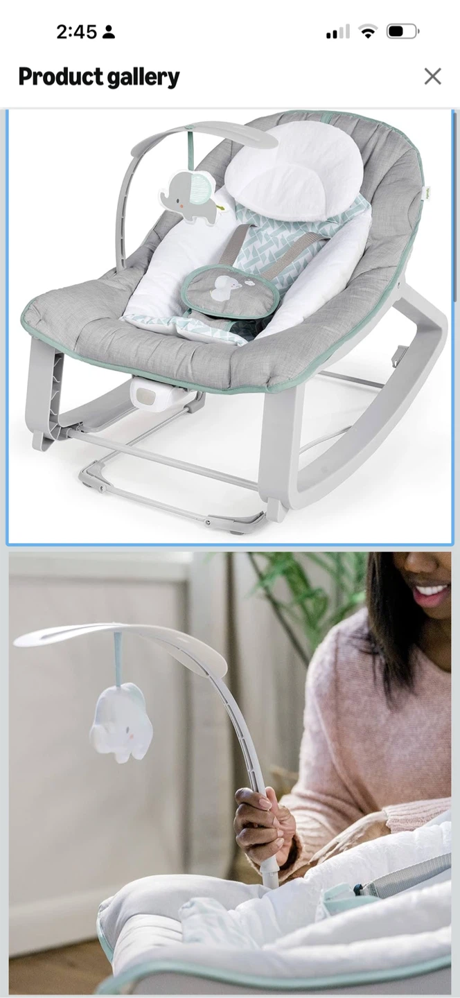 Ingenuity Baby Rocker