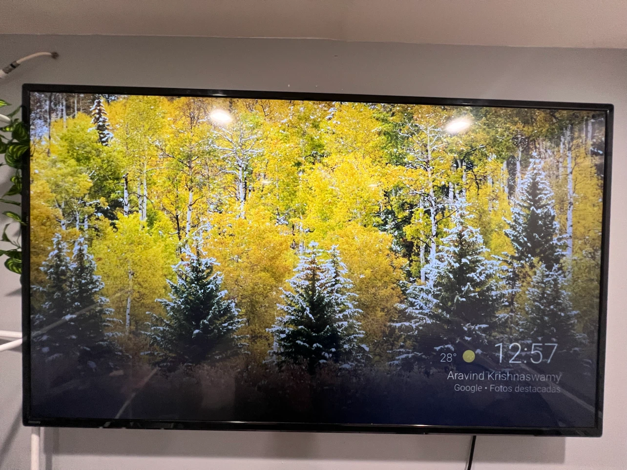Philips TV Smart TV (65 inch) - photo 2