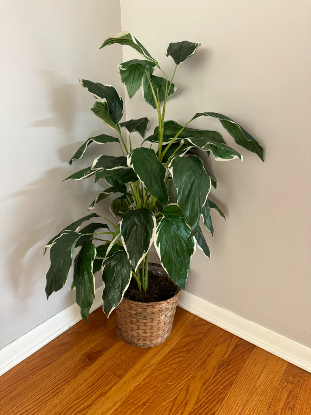 Artificial Variegated Potted Plant