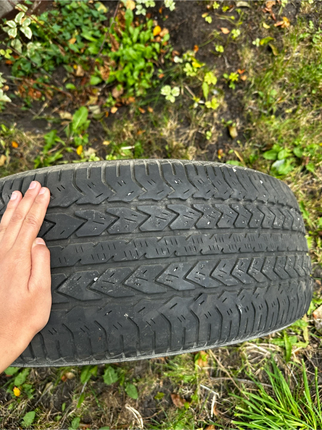 Different kinds of tires - photo 3