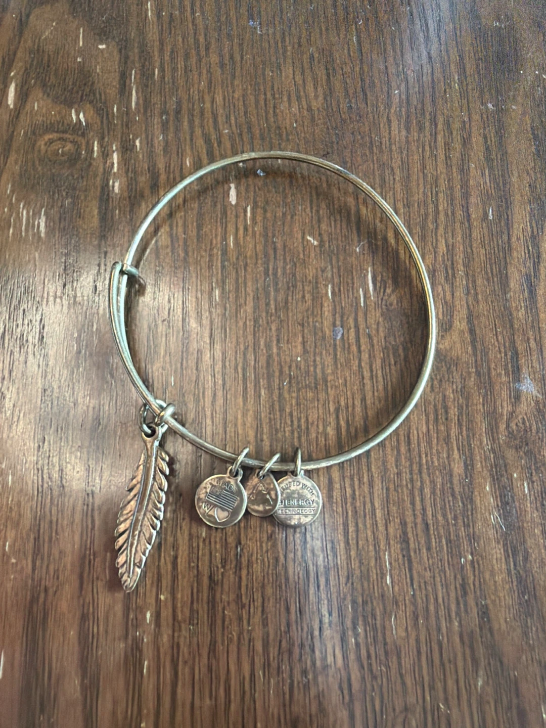 Alex and Ani Feather Charm Bangle