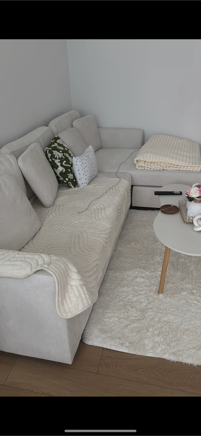 Wayfair couch - photo 2