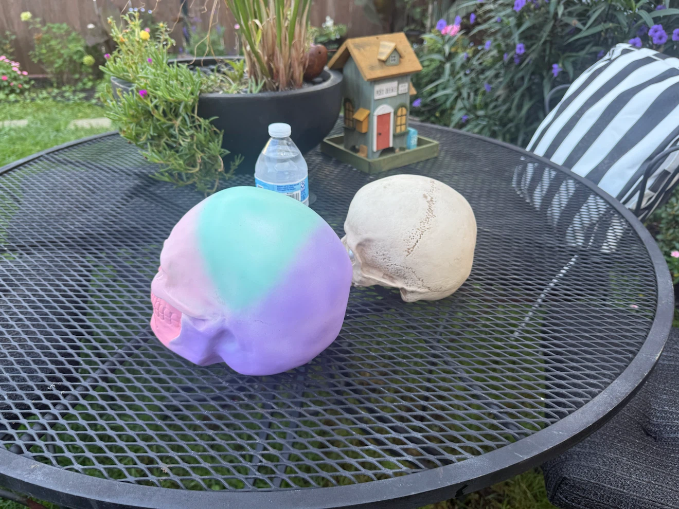 Halloween Pastel Skull & Pearl-Eye Skull Decor Set - photo 3