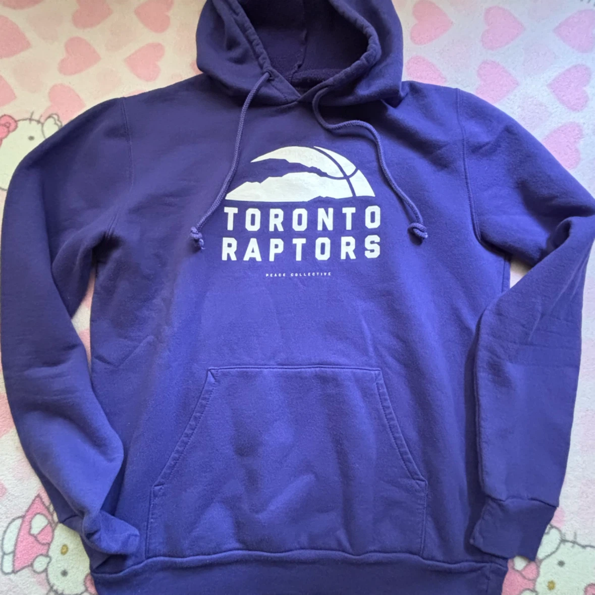 Peace Collective - Toronto Raptors Hoodie - *Size Men Medium* - photo 2