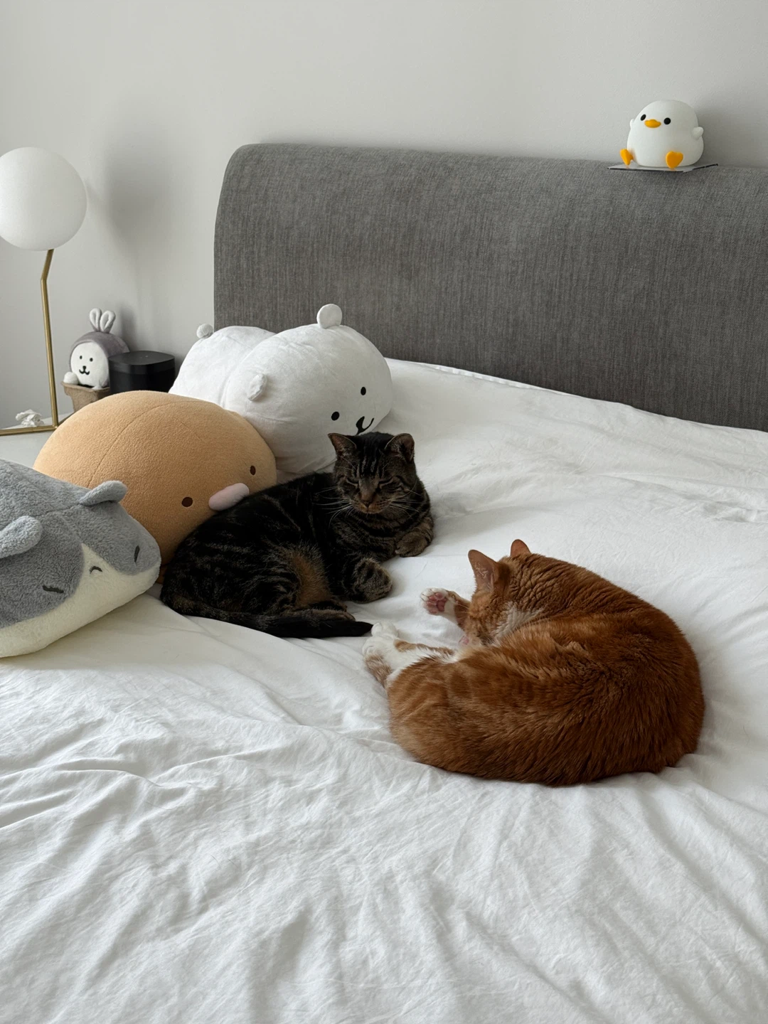 Petkit Automatic Pet Feeder - photo 5