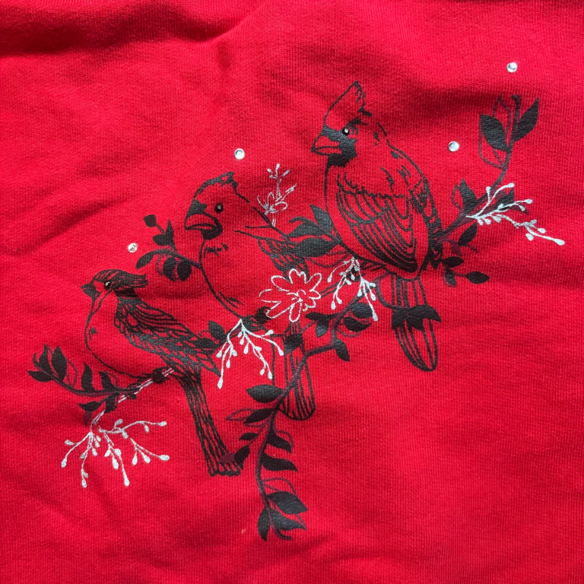 Northern Reflections - Cardinal Sweatshirt - *Size Women XL* - photo 4