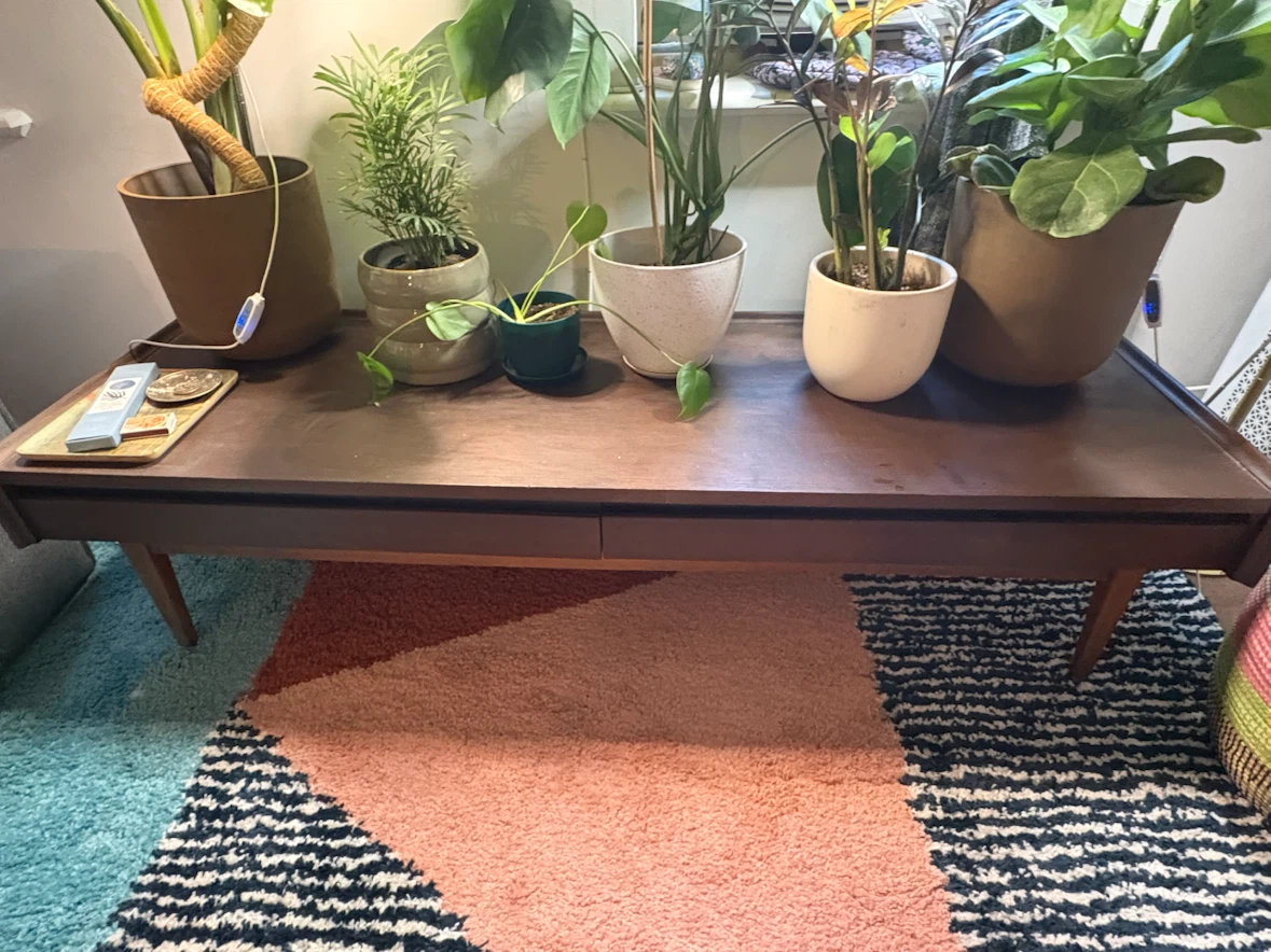 Mid-Century Modern Coffee Table - photo 5