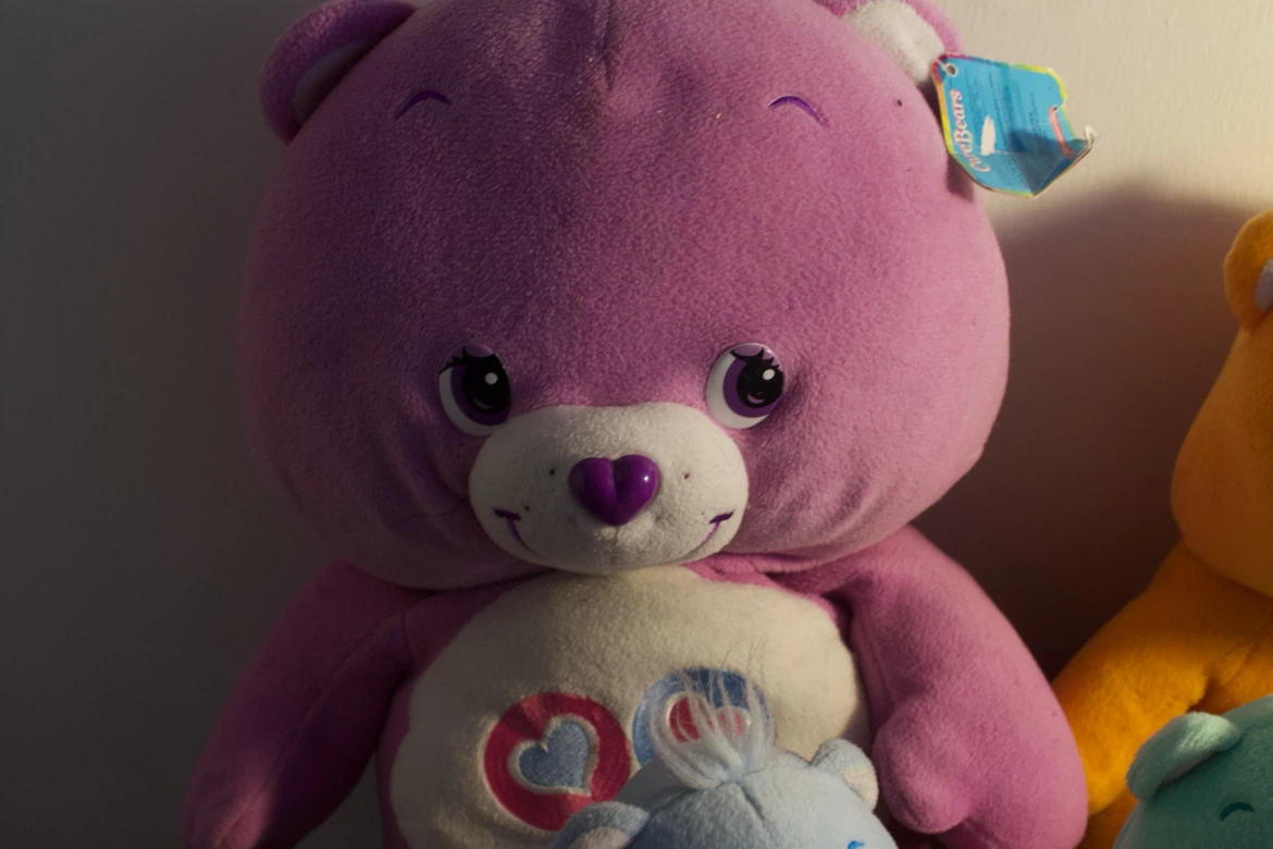 Carebear Plush Lot (early 2000s) - photo 2
