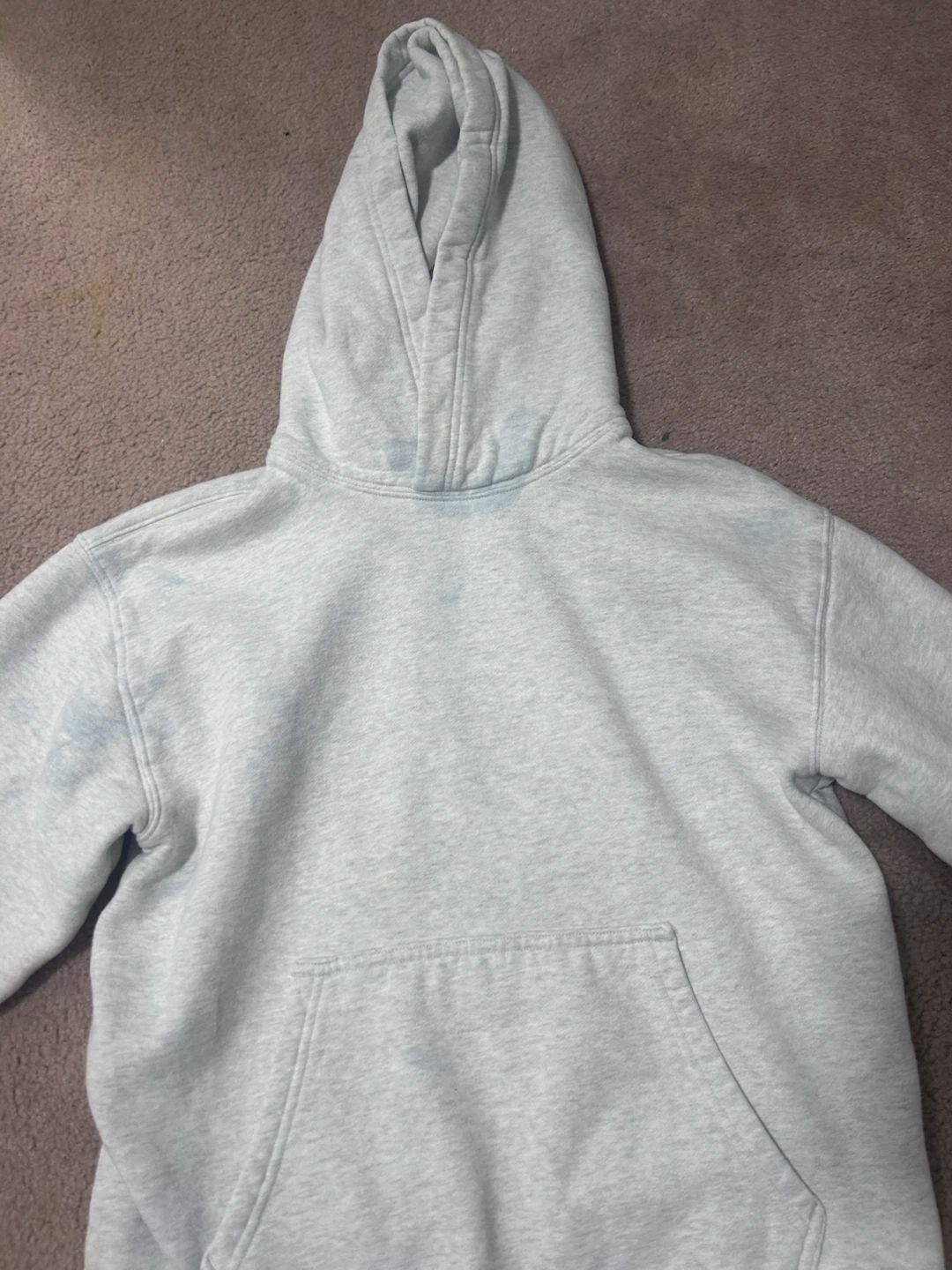 Aritzia Sweatfleece Hoodie