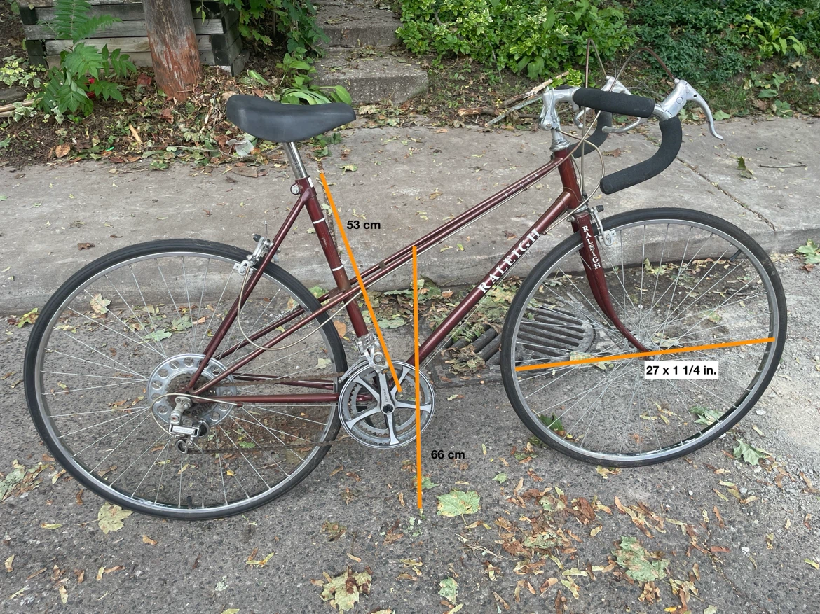Raleigh Road Bike / Commuter Bike