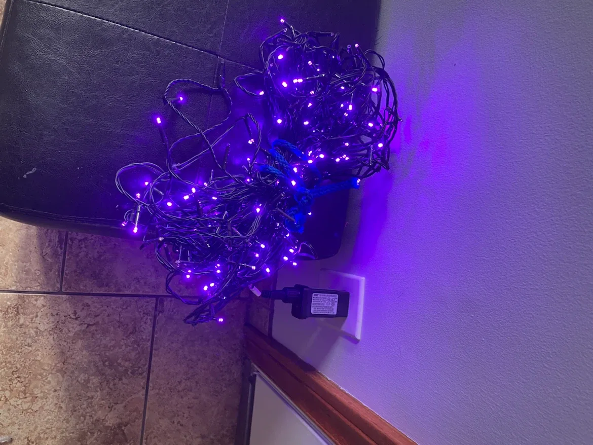 Purple LED String Lights - photo 2