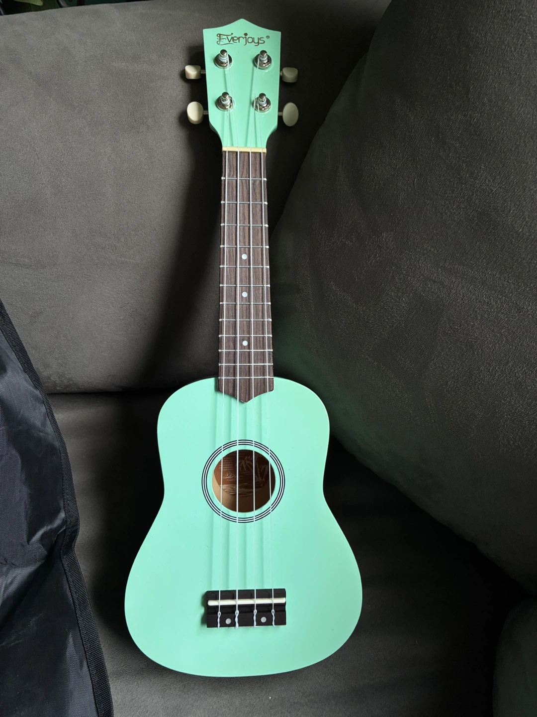 EverJoys Green Ukulele Starter Kit - photo 2