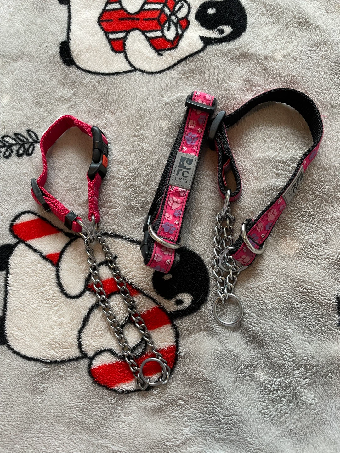 Small Dog Collars