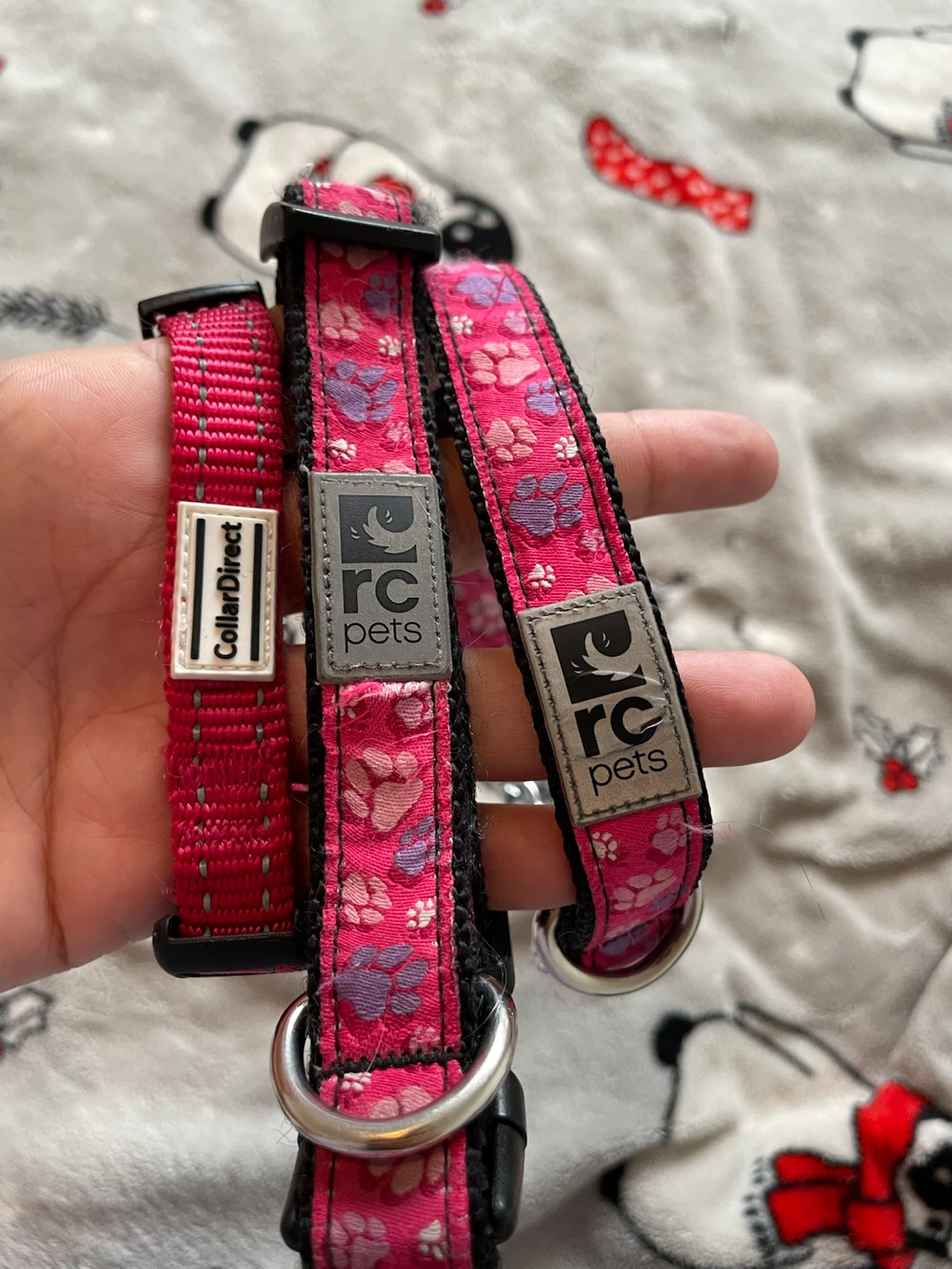 Small Dog Collars - photo 2