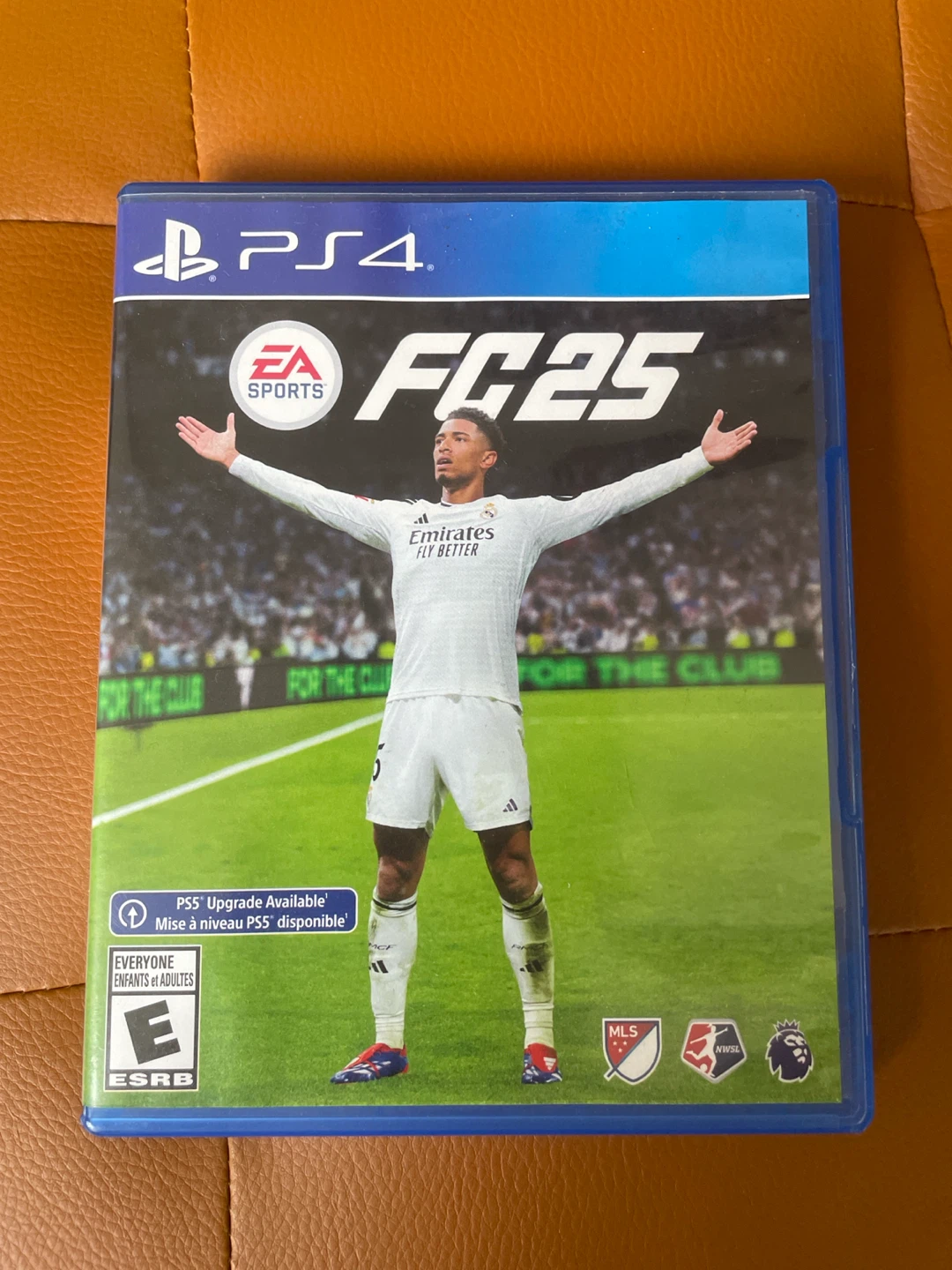 EA Sports FC 25 PS4 Game