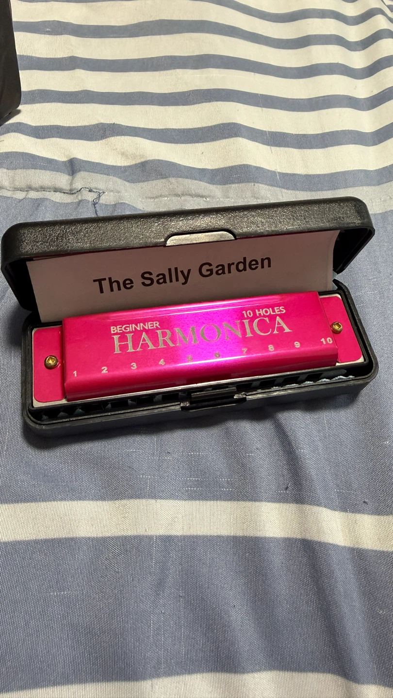 Beginner Harmonica 10 Holes