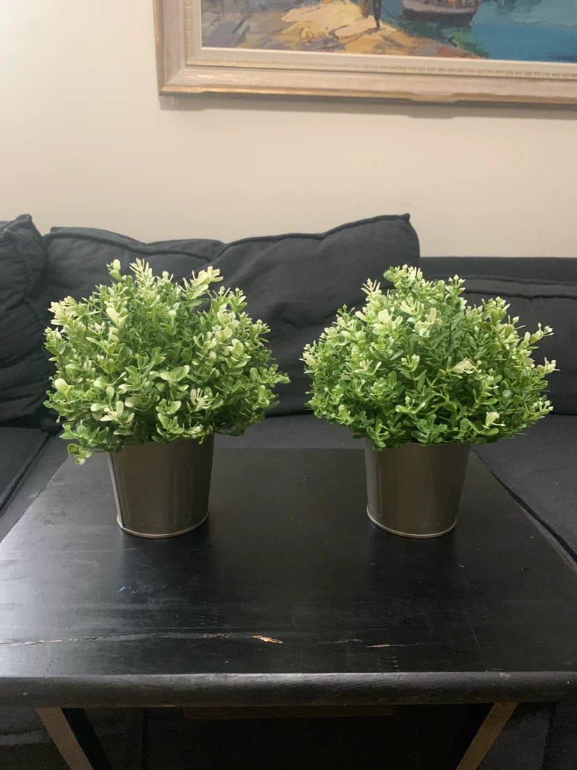 Two Artificial Potted Plants