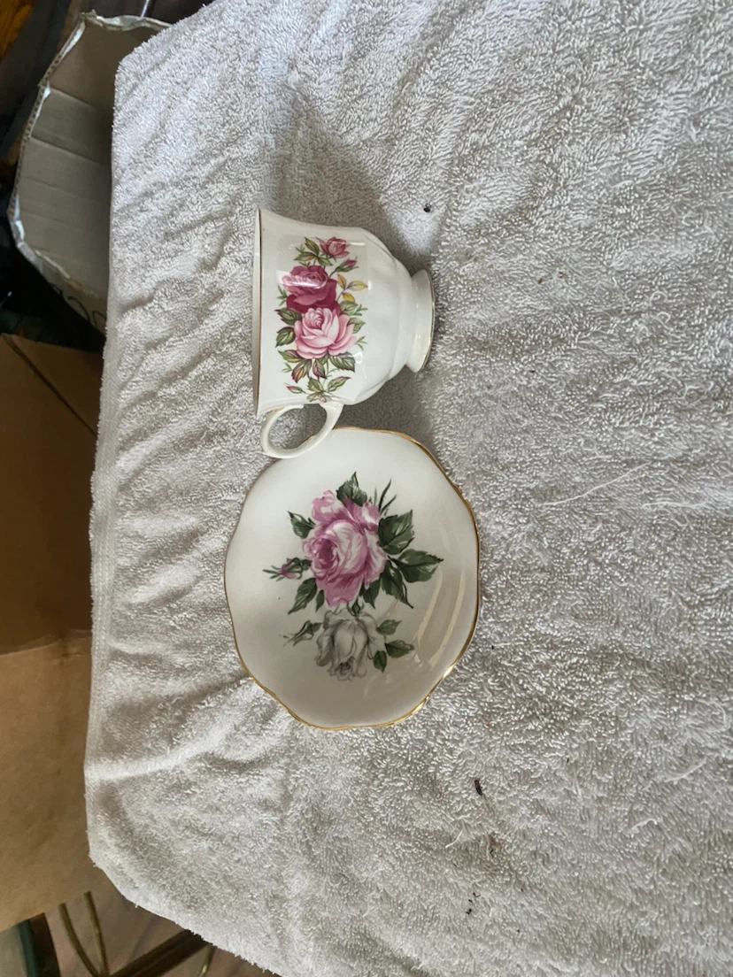 Foley Bone China Tea Cup and Saucer Set