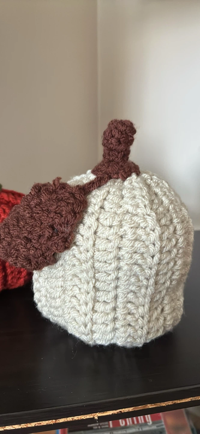 Handmade crochet Pumpkin Set $25 - photo 3