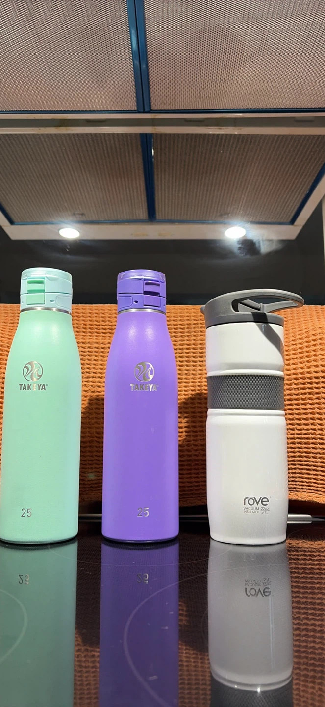 Set of 3 Insulated Water Bottles