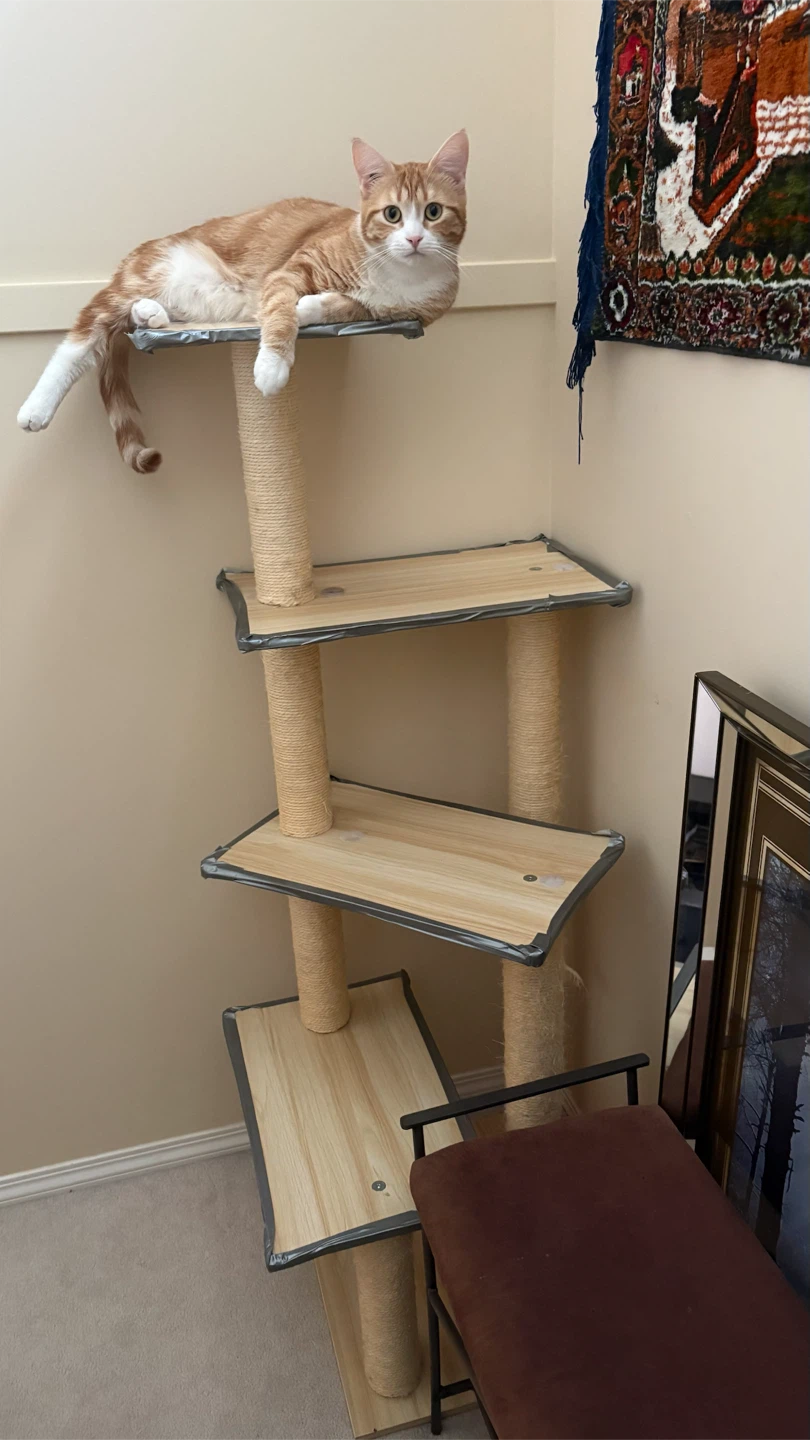 Modern Multi-Level Cat Tree