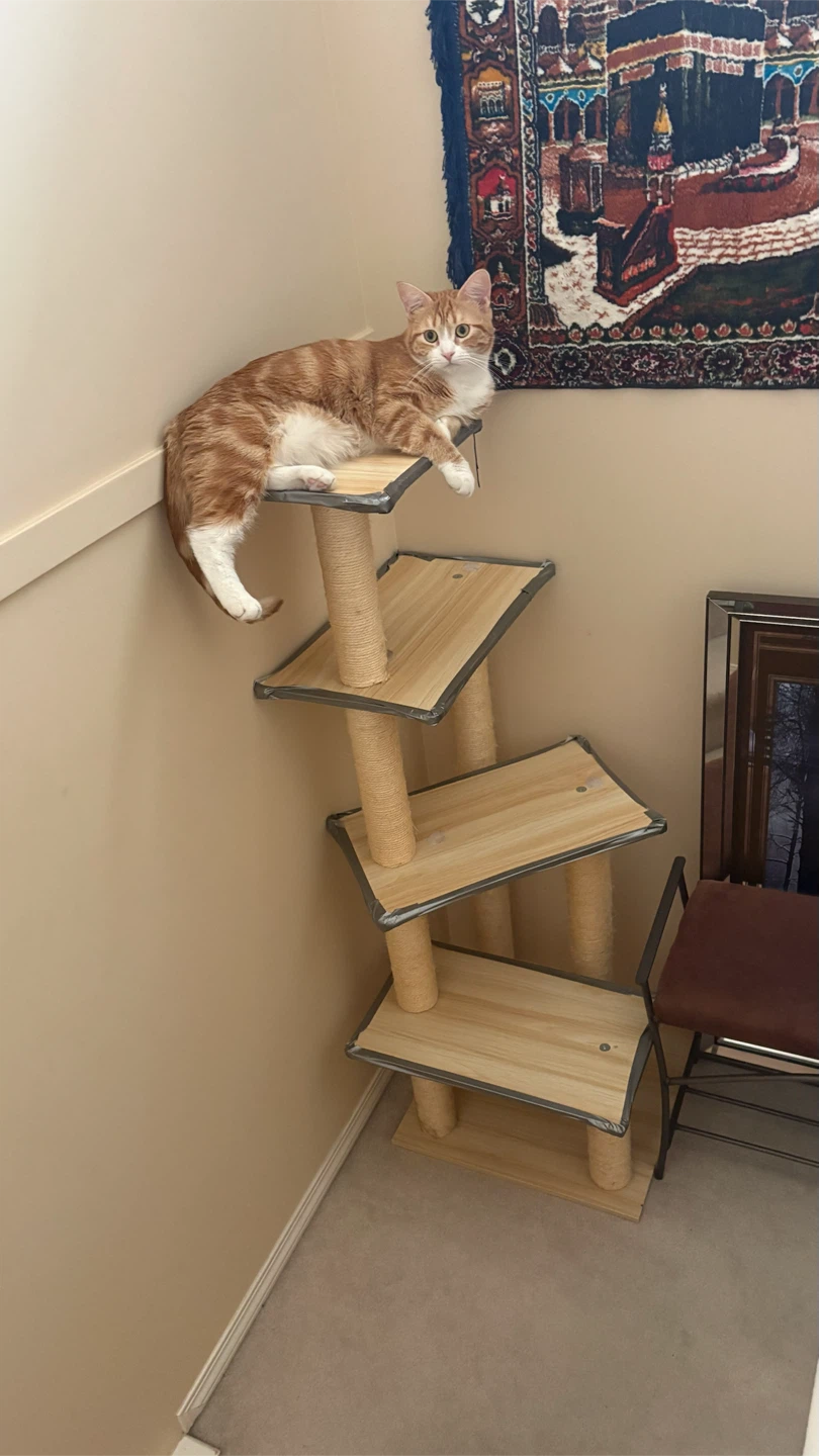 Modern Multi-Level Cat Tree - photo 3