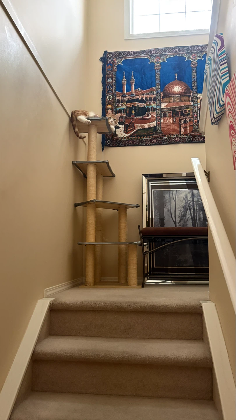 Modern Multi-Level Cat Tree - photo 4