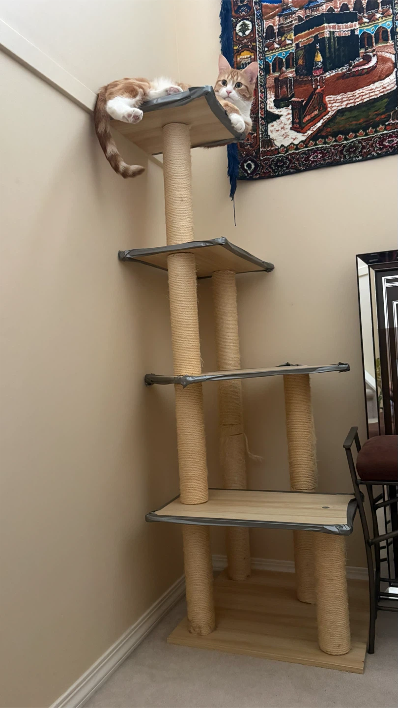 Modern Multi-Level Cat Tree - photo 5