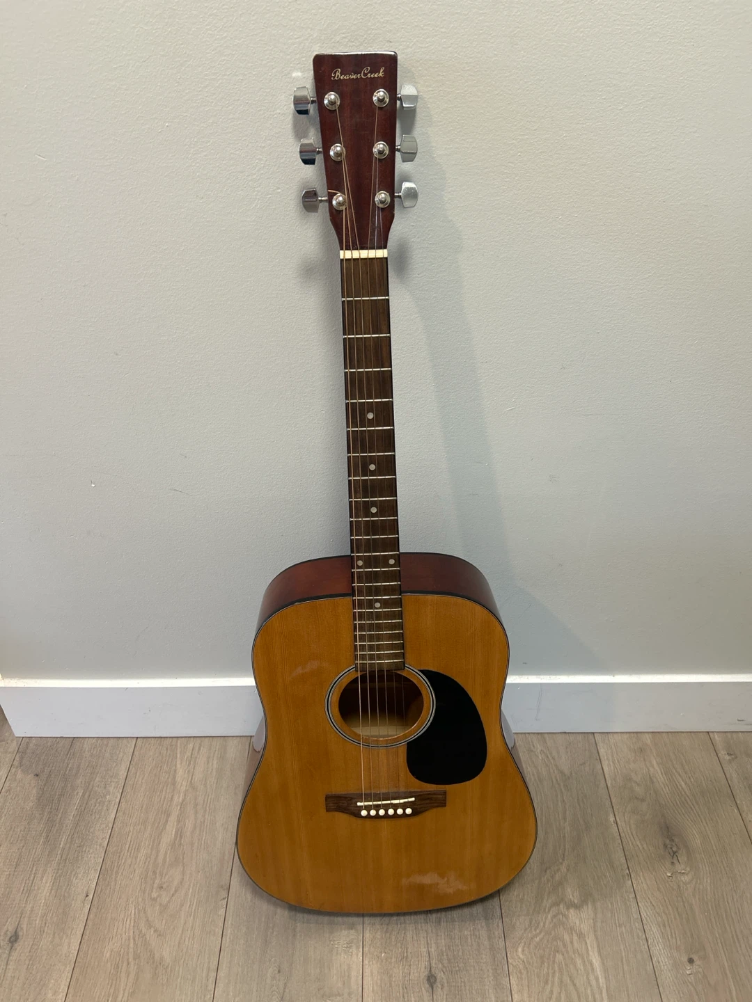 Beaver Creek Acoustic Guitar