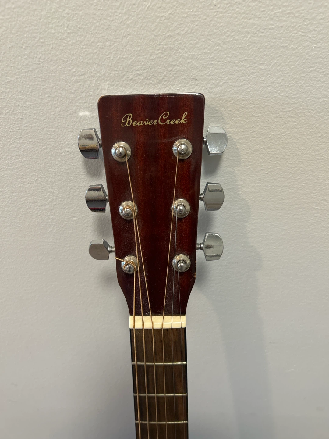 Beaver Creek Acoustic Guitar - photo 2