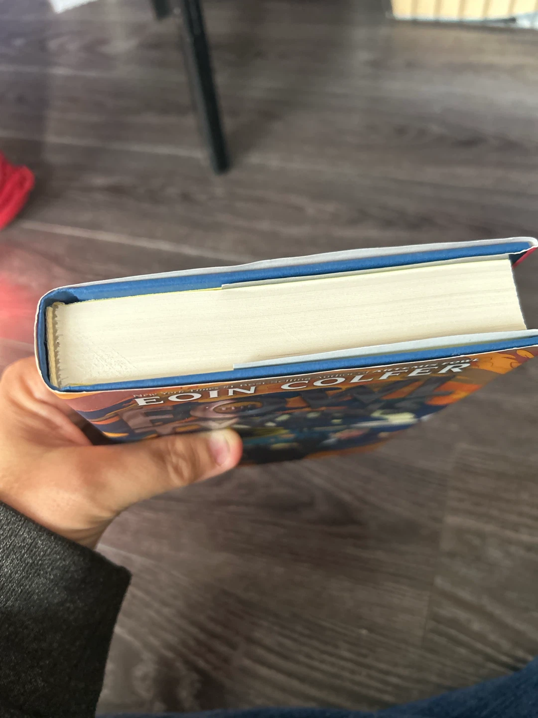 The Fowl Twins by Eoin Colfer first edition - photo 4