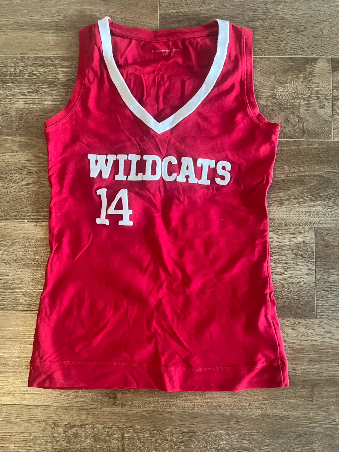 DIY Troy Bolton High School Musical Jersey