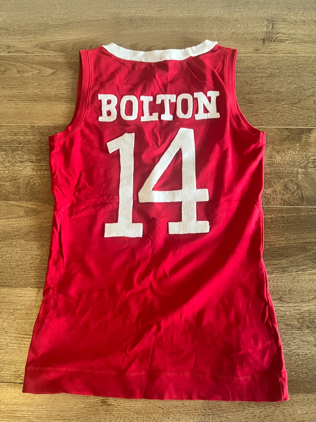 DIY Troy Bolton High School Musical Jersey - photo 2