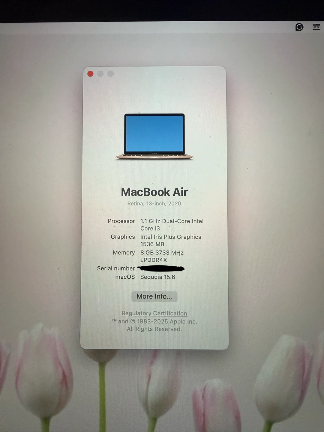 2020 MacBook Air 13-inch - photo 5
