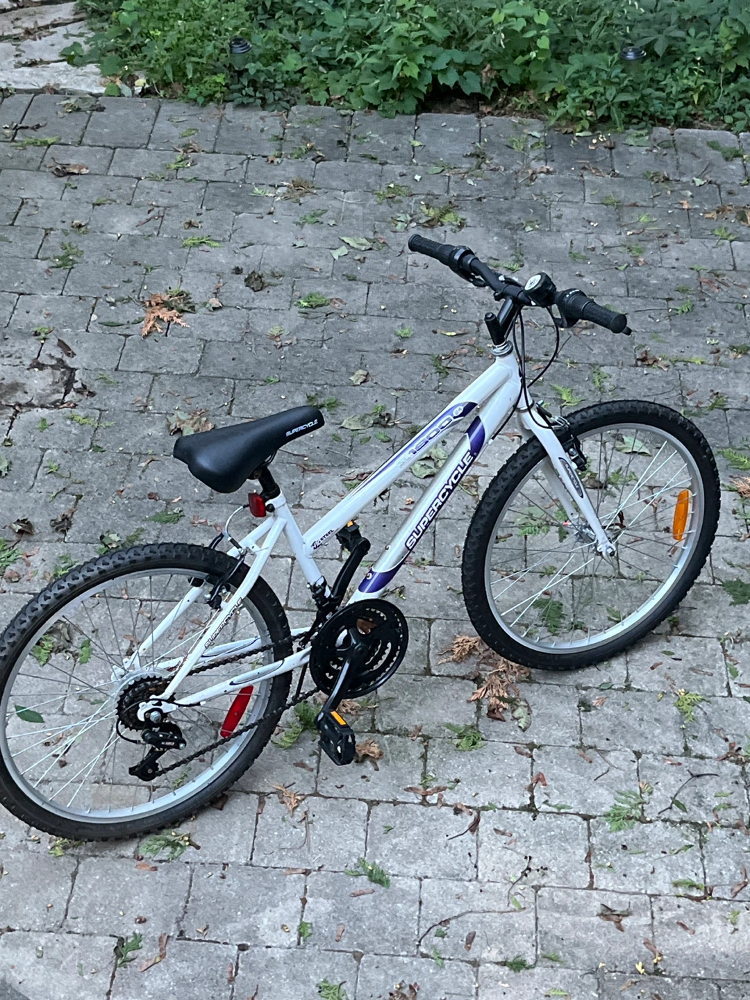 Supercycle 1500 Mountain Bike