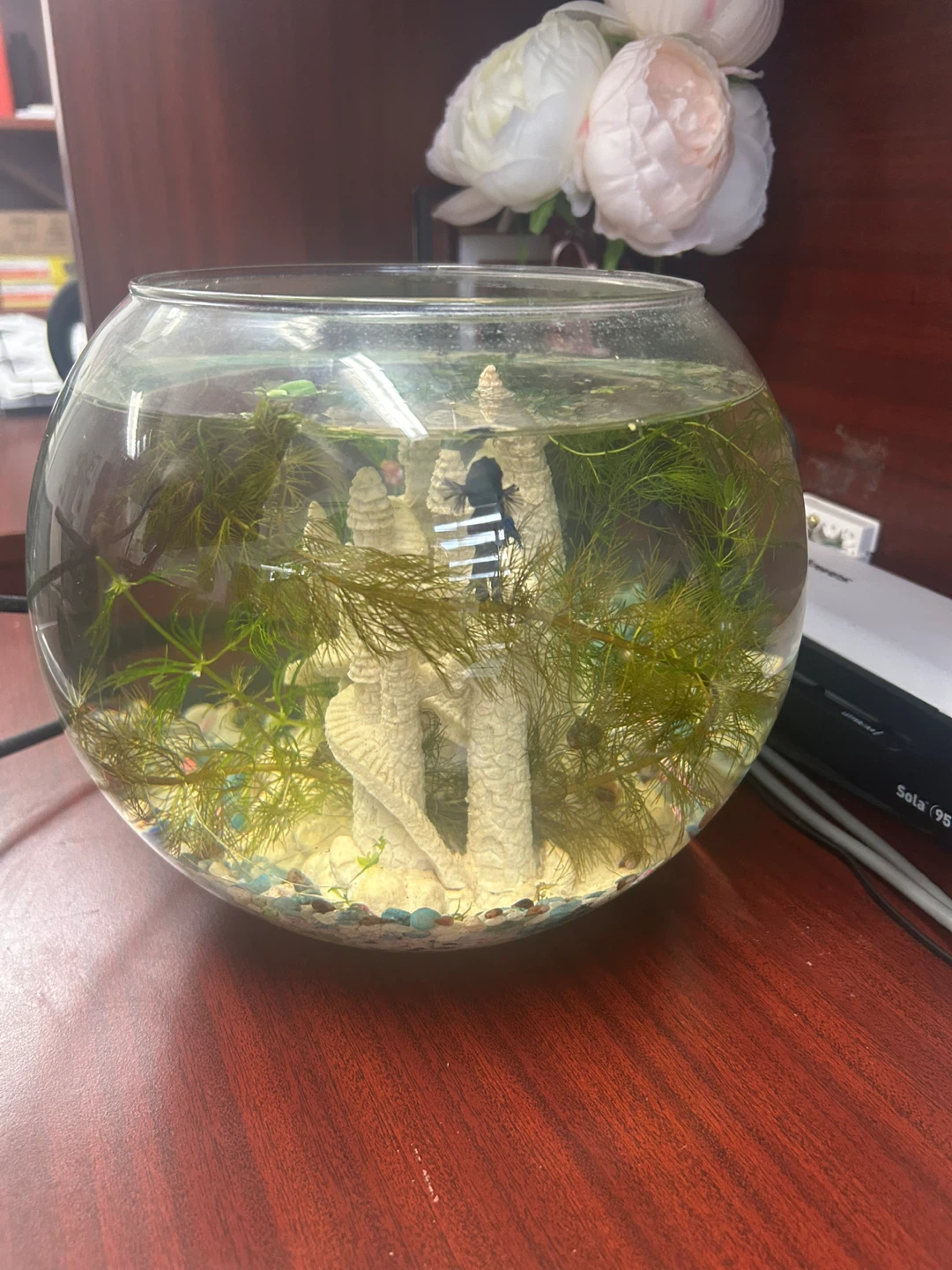 Glass fish bowl with castle decor