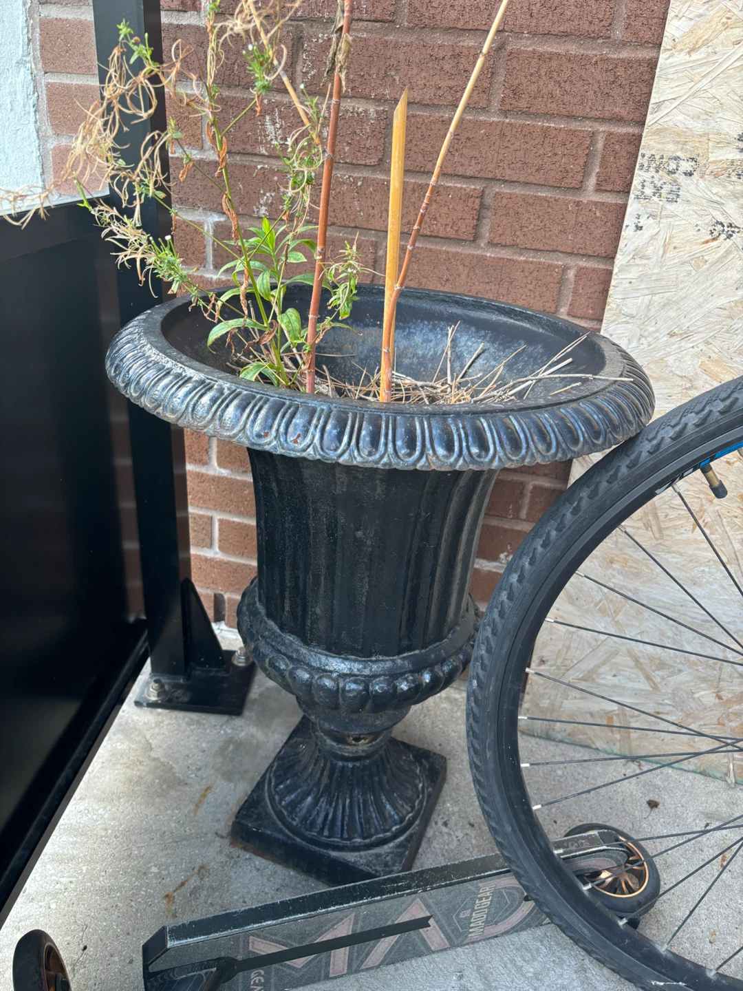 Black Urn Planter