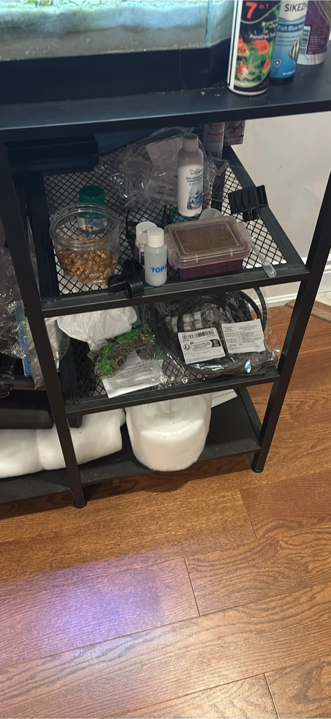 55 gallon fish tank - photo 3