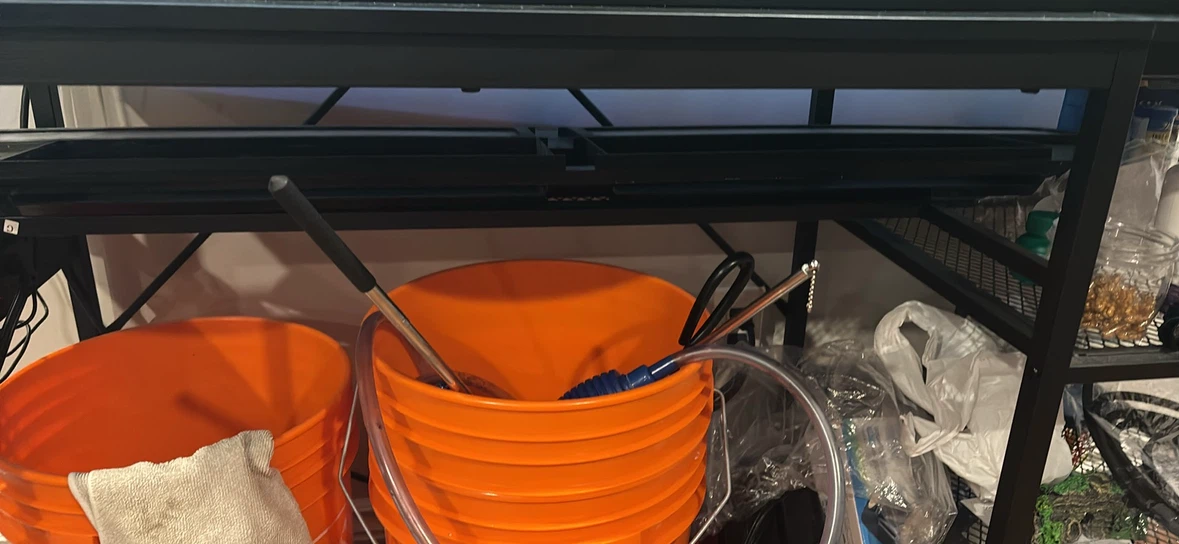 55 gallon fish tank - photo 4