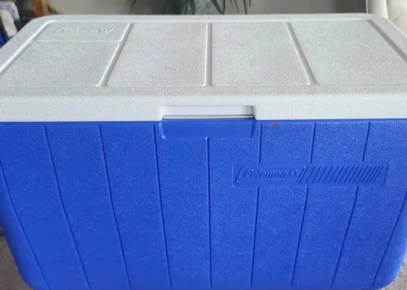 Coleman Cooler