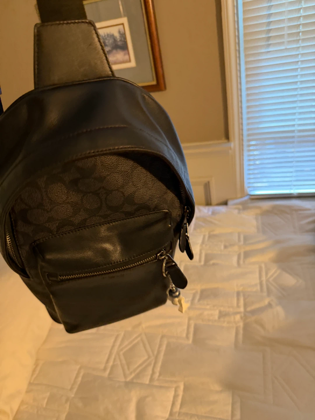 Coach Sling Bag - photo 4