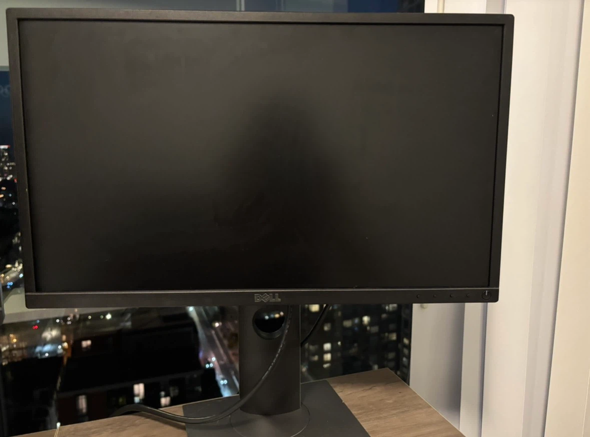 Dell 20 Inch Monitor