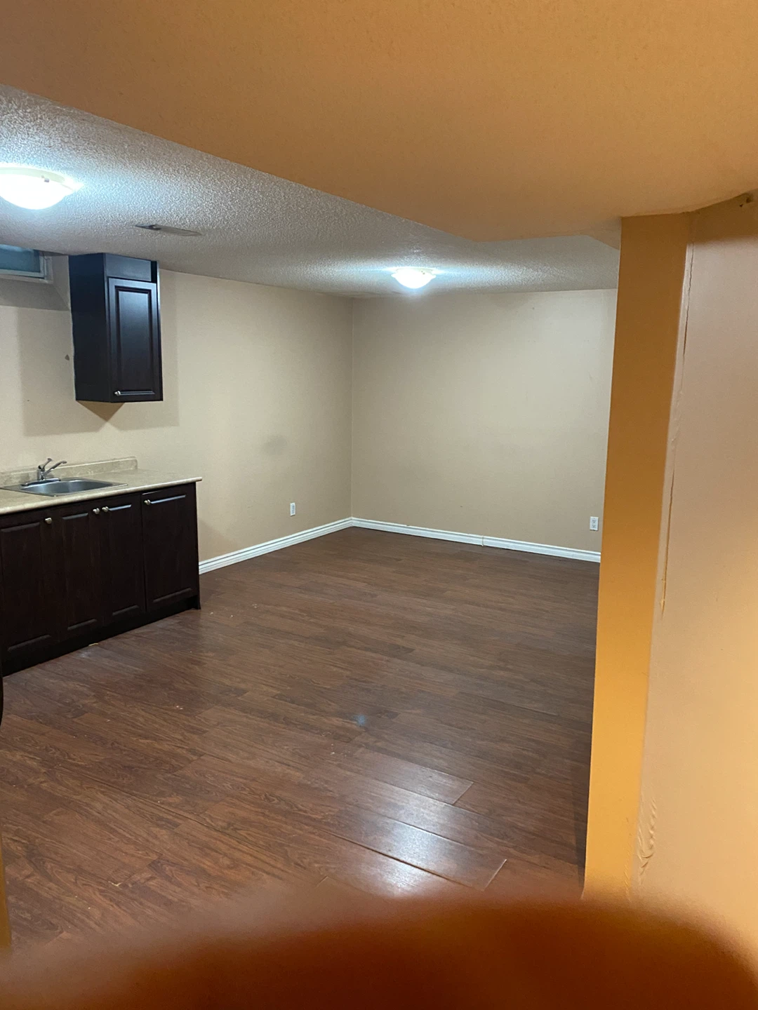 ONE BEDROOM BASEMENT APARTMENT - MISSISSAUGA - photo 3