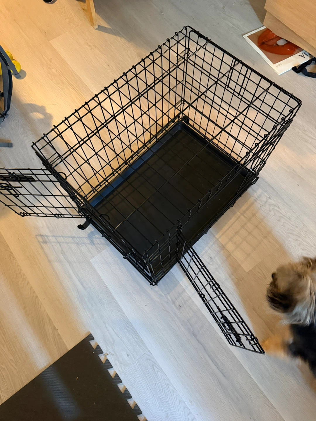 SMALL TWO DOOR COLLAPSIBLE DOG CRATE
