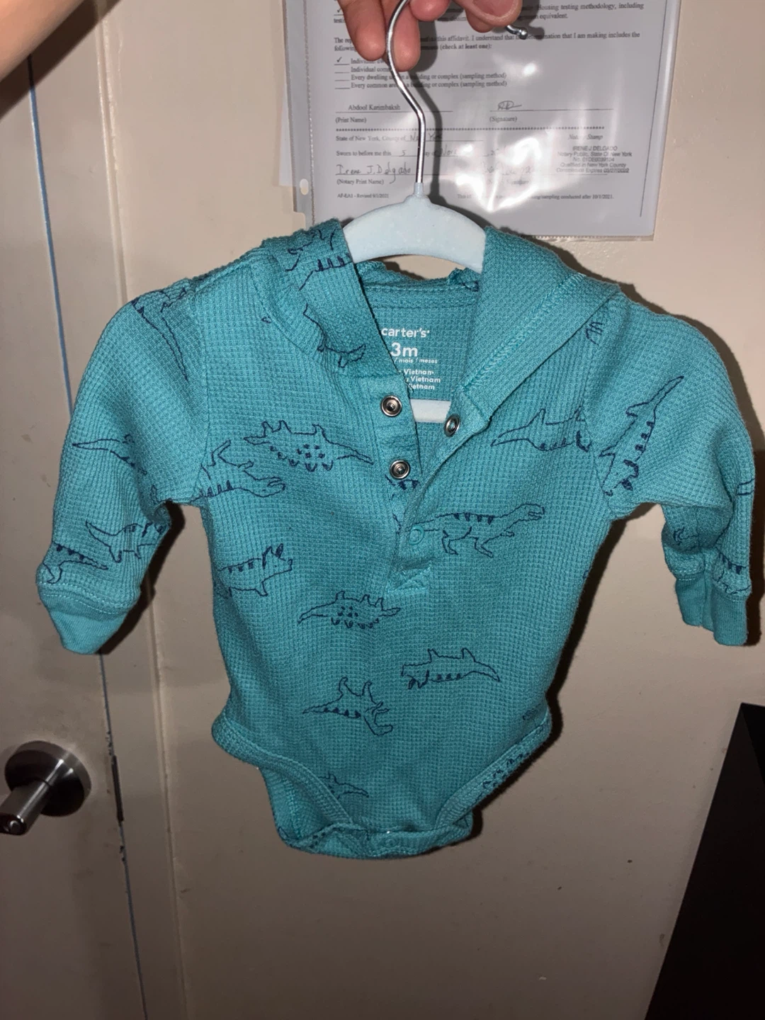 Carter's Dinosaur Long Sleeve Bodysuit - 3M
