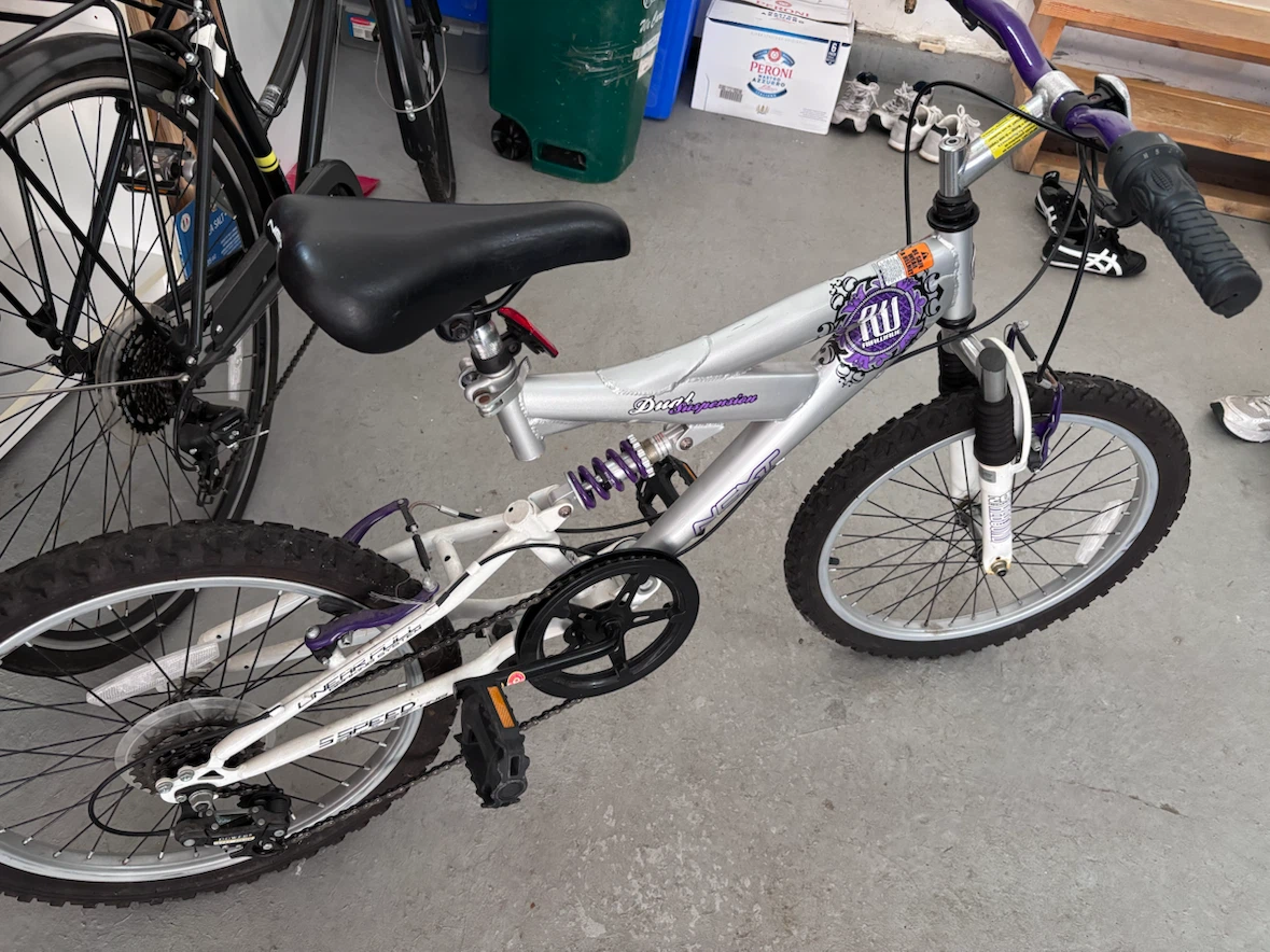 Next Dual Suspension Mountain Bike