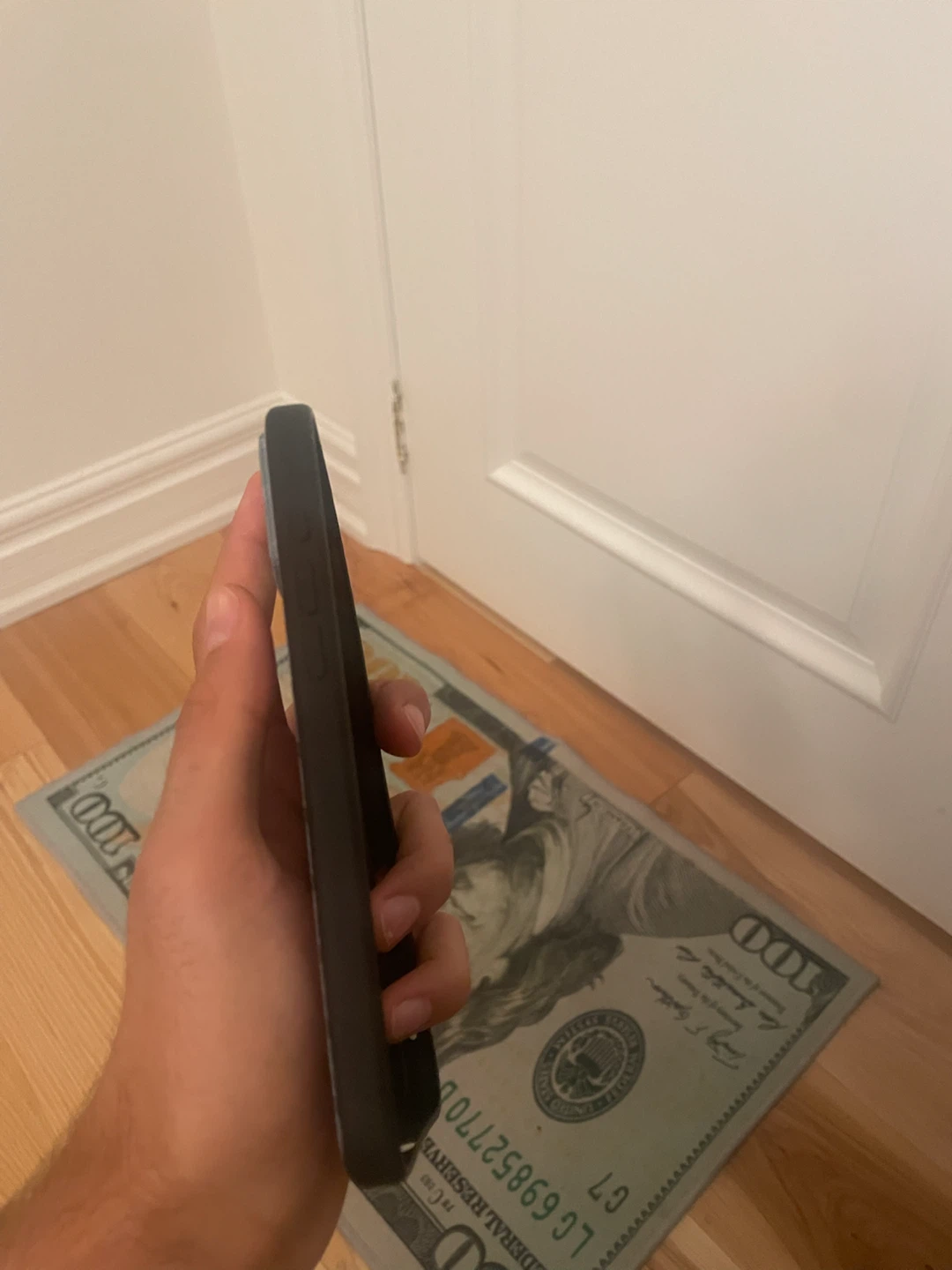 Goyard iPhone 14 Pro Case - photo 4